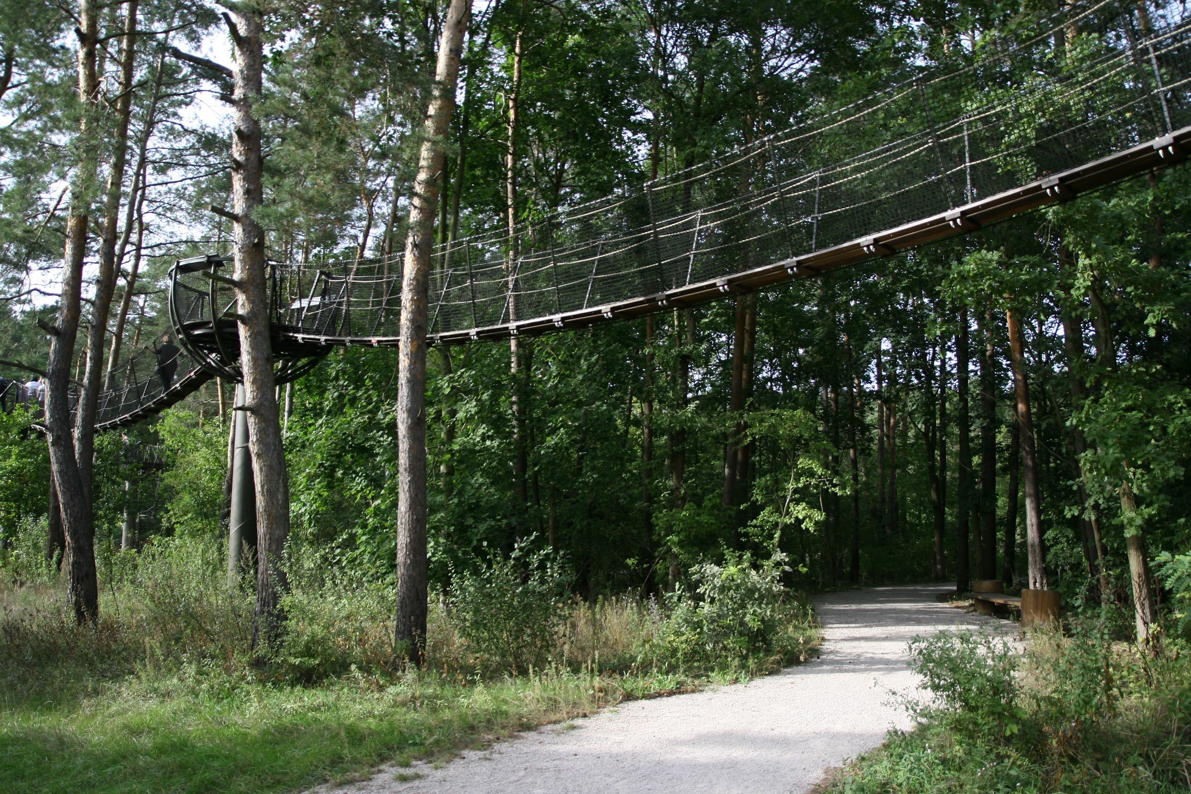 Treetops pathway (Ścieżka w koronach drzew, Dolina Wkry)